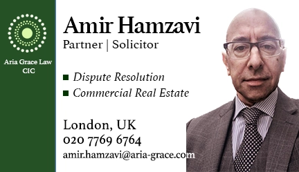 amir-hamzavi
